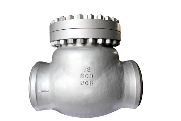 Check Valve