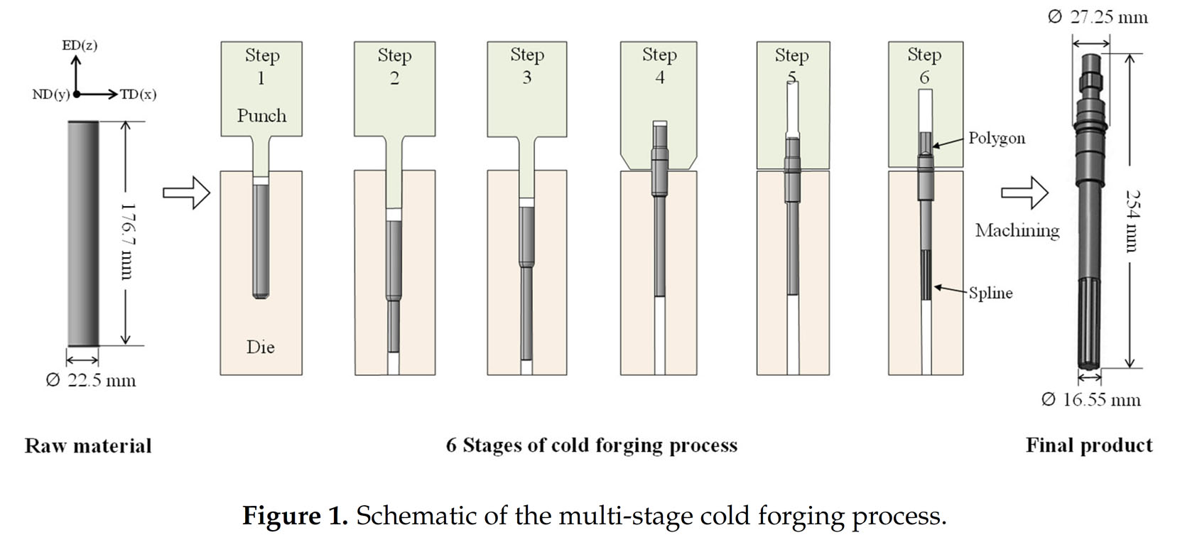 Cold_Forging_Process.jpg